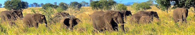 Kidepo NP, Uganda